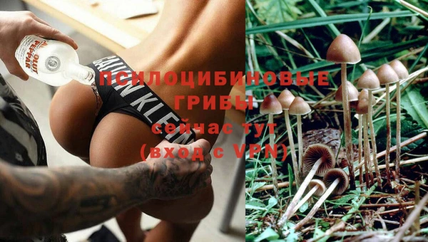 ECSTASY Балахна